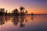 Lake Martin Dawn_26019